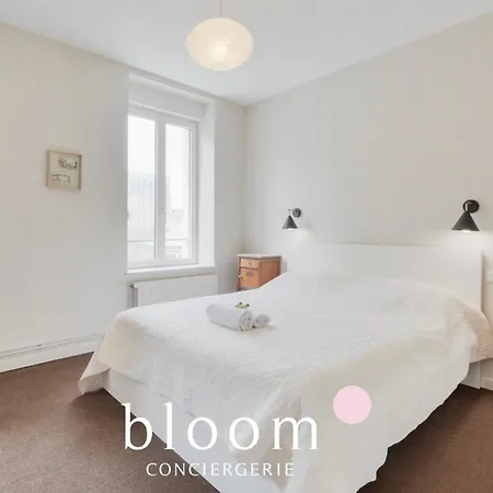 Le Somptueux De Blandan Appartement *